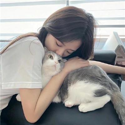 红衣主教